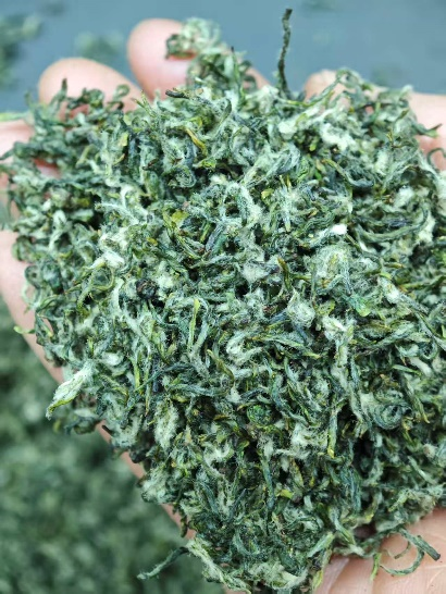 南通茶